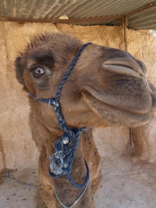 Fotogenična deva pristala na fotku: I'm sexy and I know it!