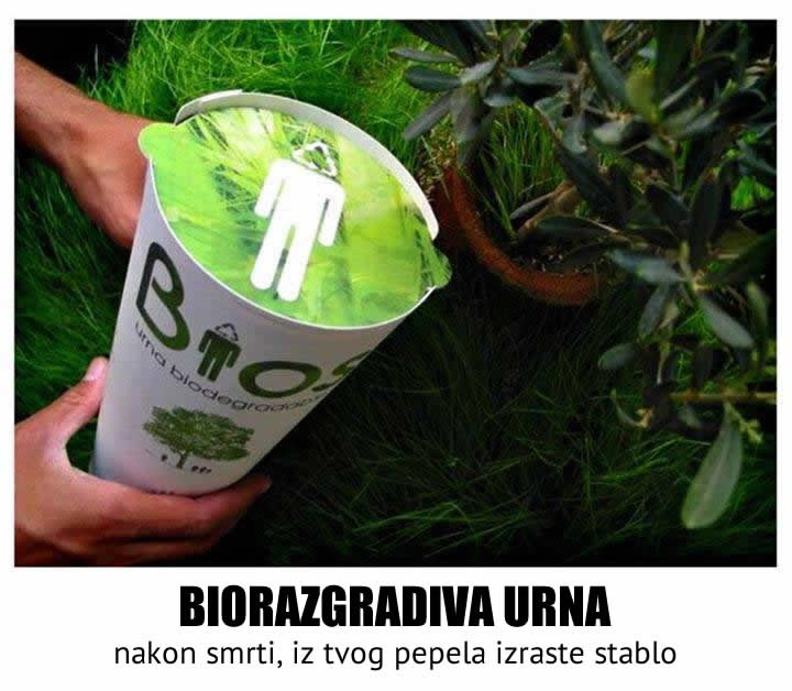 Biorazgradiva urna: Želiš postati drvo nakon smrti?