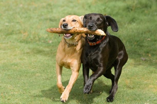 Let's stick together