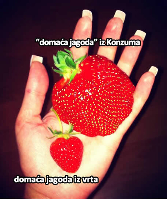 Volite domaće?