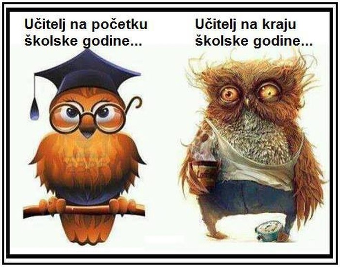 Učitelji jedva preživjeli školsku godinu