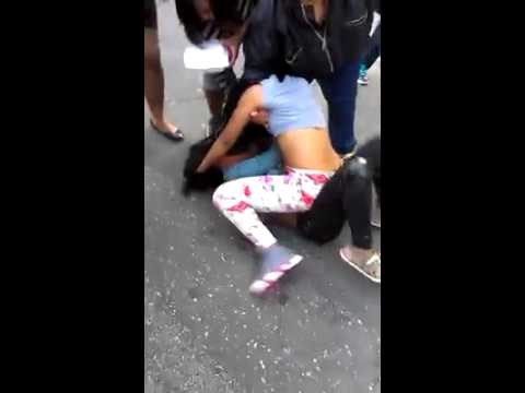 VIDEO!! ŽIVI UŽAS: Cure se potukle nasred ceste