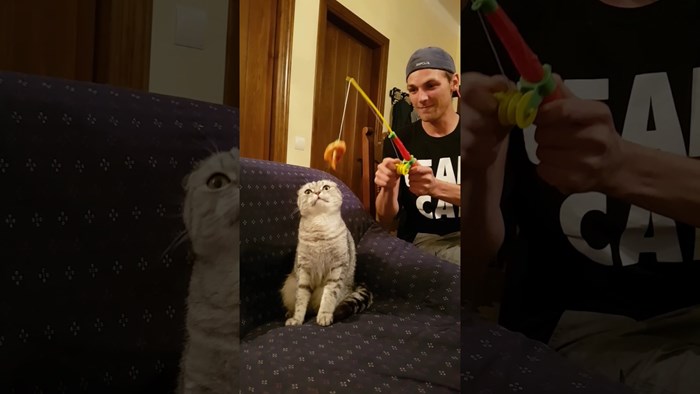 VIDEO Svoju ljubimicu je "ulovio" jednom slasnog igračkom, maca se odmah probudila!