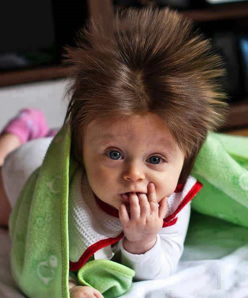 Novi mali Tesla? "Naelektrizirani" malac hit među bebačicama