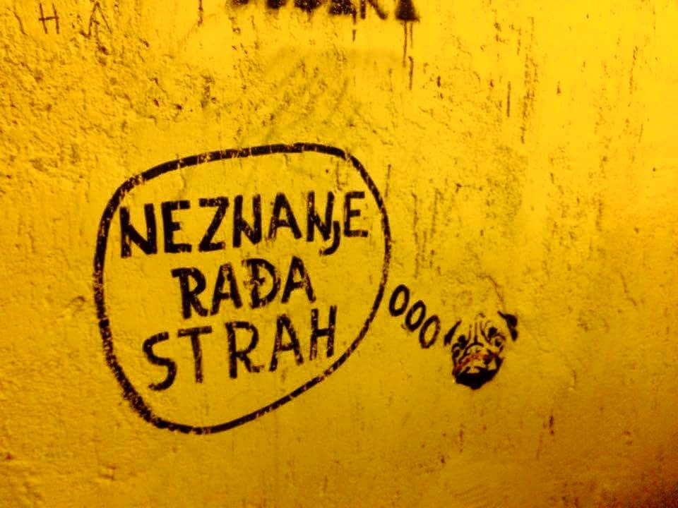 kod nas i grafiti pametniji od ljudi..
