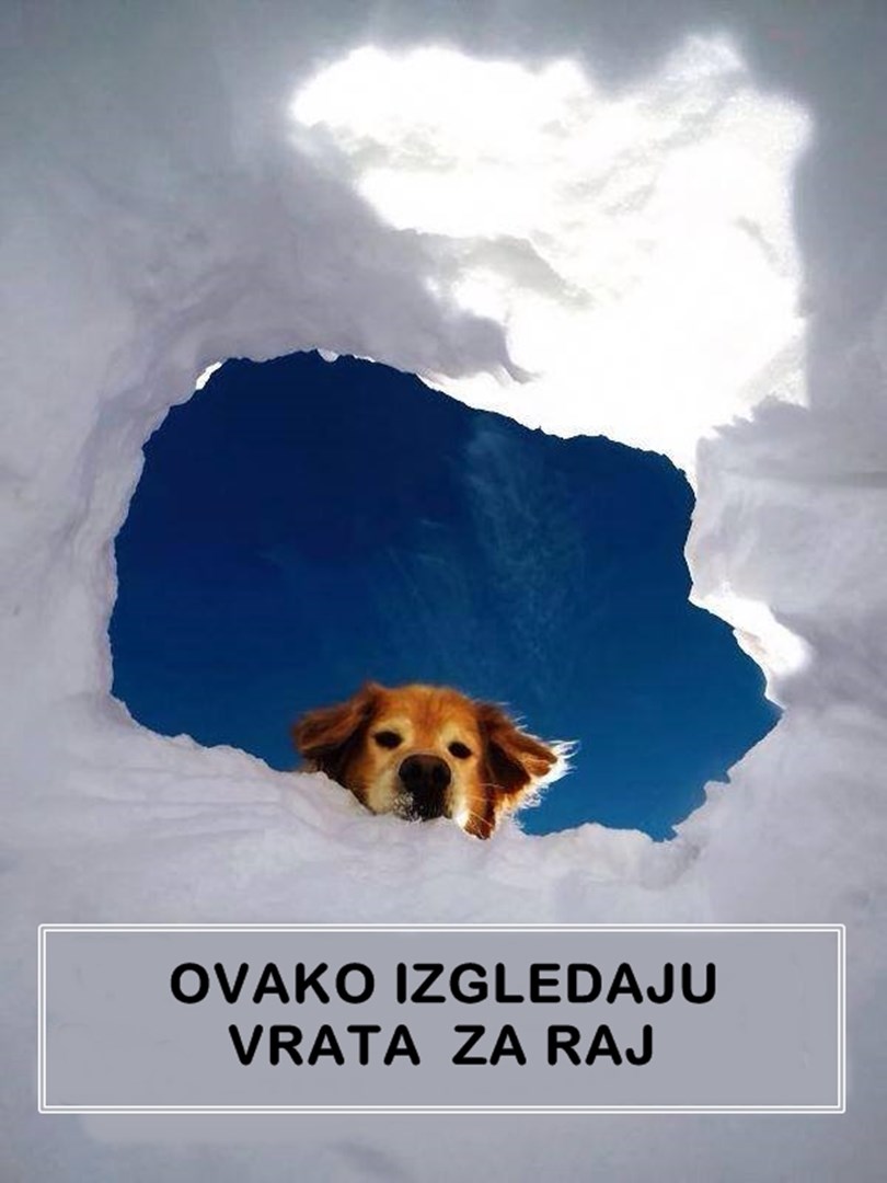 Možda će otići prije nas, ali kad krenemo za njima, ovo je prvo što ćemo vidjeti