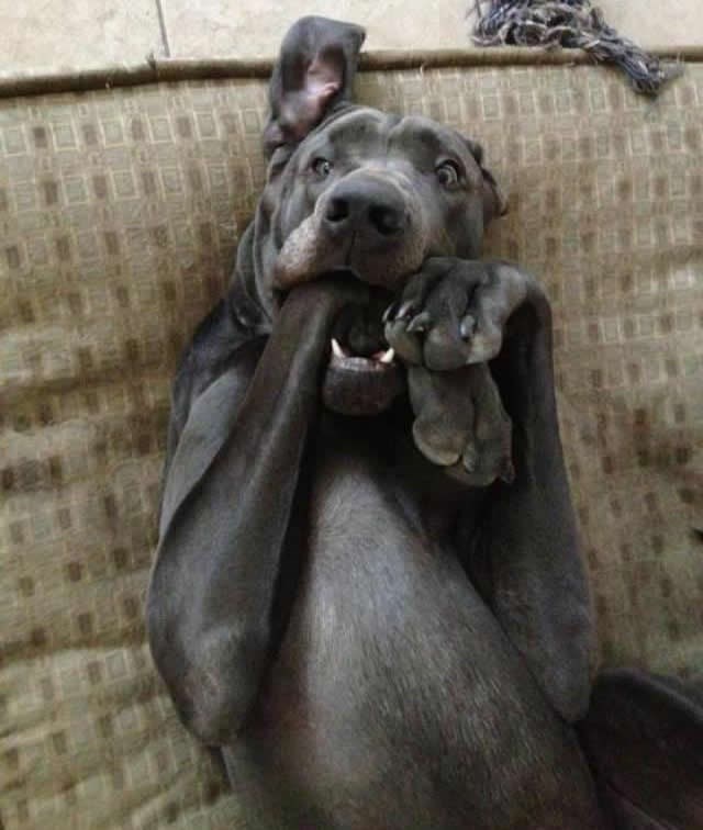 Ajmeee, jel sva ta hrana za mene!?