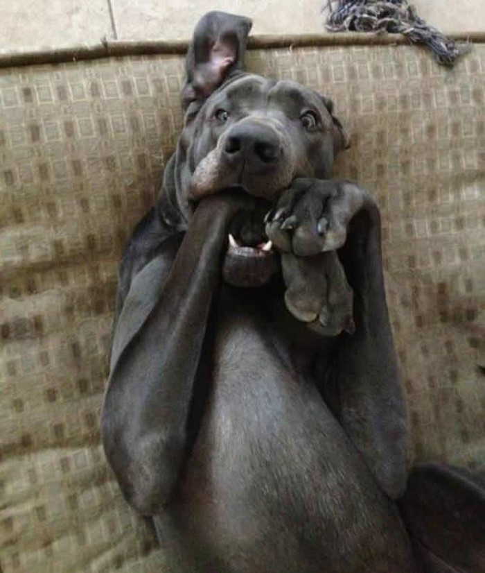Ajmeee, jel sva ta hrana za mene!?