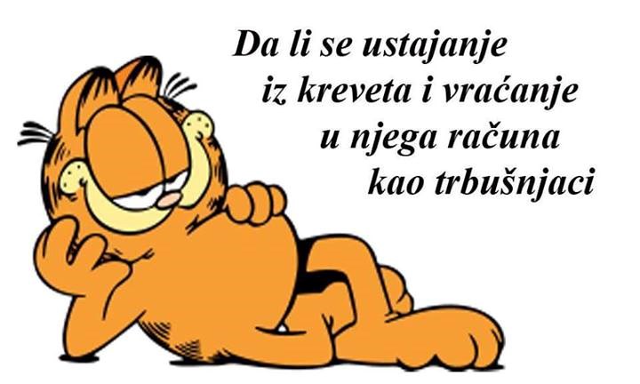 Nije on lijen, samo radi pametno