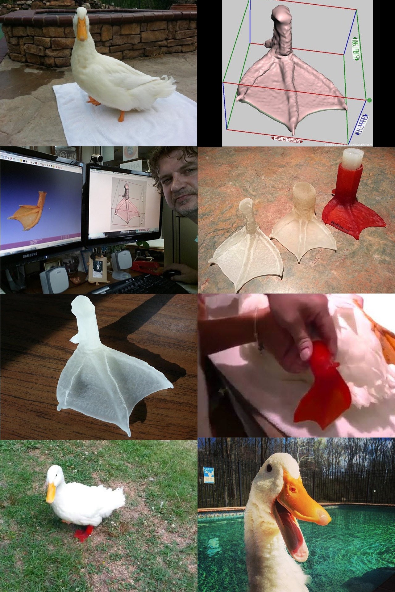 Sretna patka dobila 3D printanu nogu i opet veselo pliva