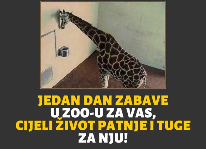 Reci "NE" zoološkim vrtovima!