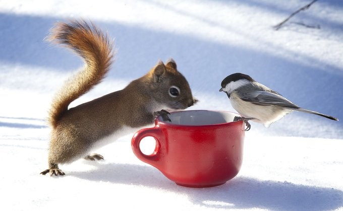 Razgovor uz jutarnju kavicu..