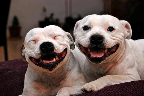 kad te slikaju pristojnost nalaže osmijeh..:))