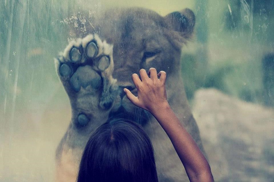 Molim te, pusti me na slobodu!