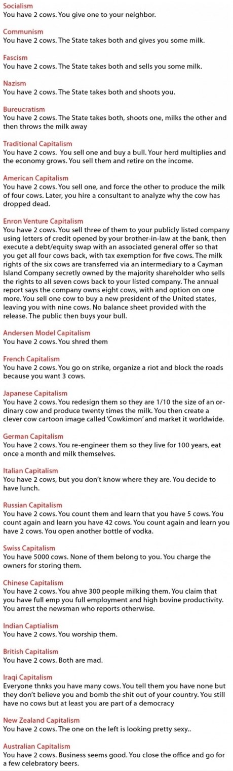 Slikovita pojašnjenja -izama na primjeru krava