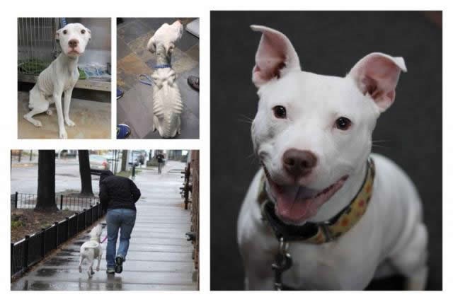 Od beznađa do happy enda