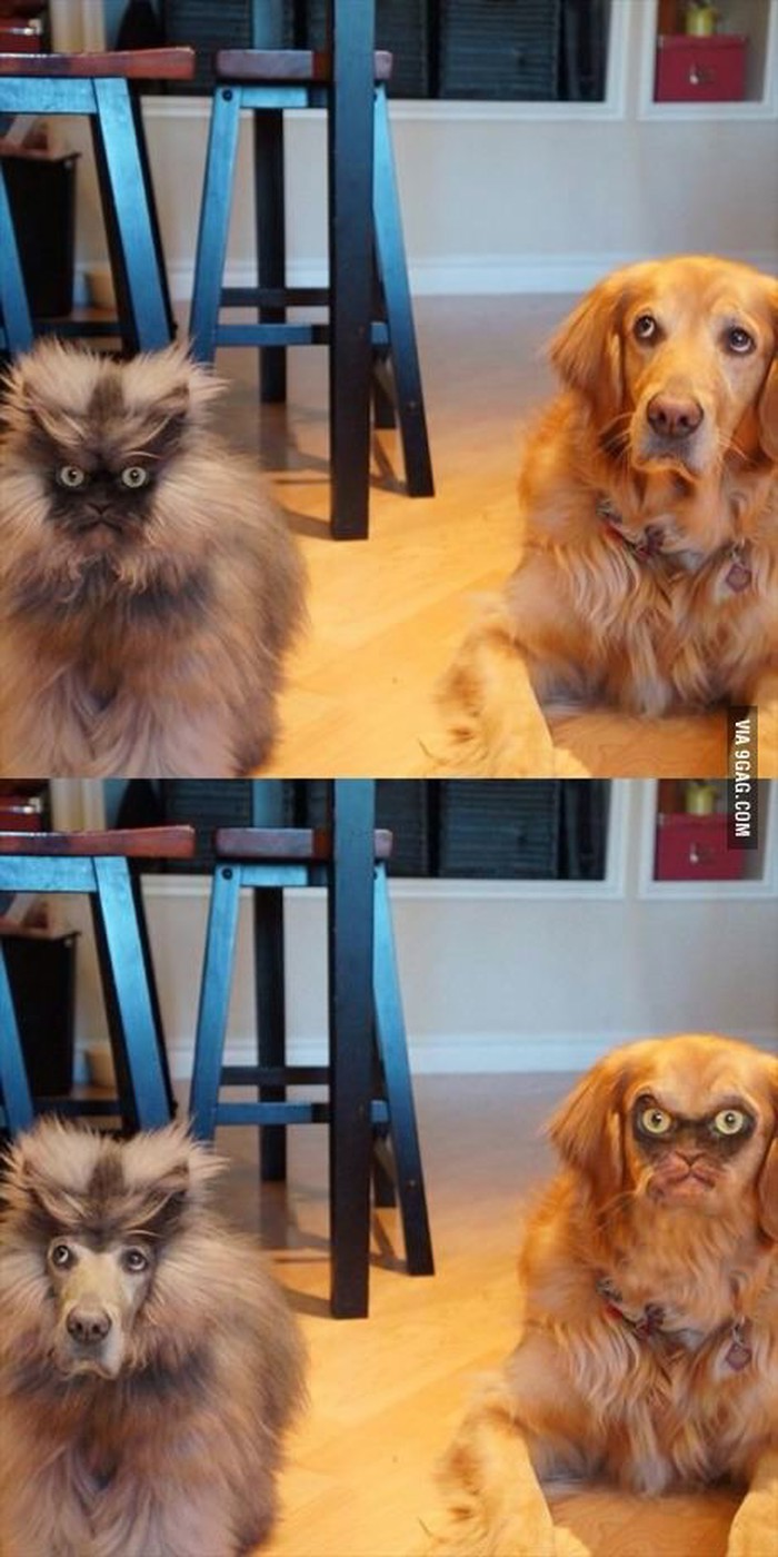 Faceswap za pamćenje i noćne more