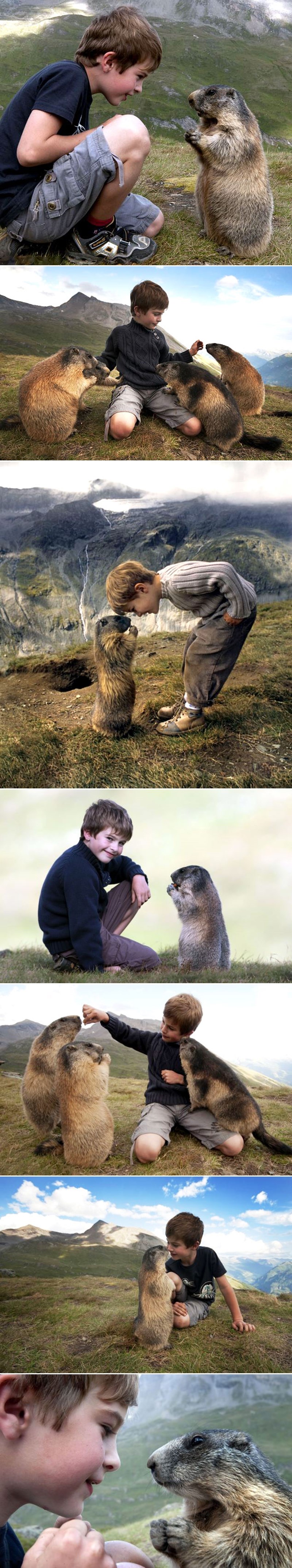 ŠAPTAČ MRMOTIMA: Dječak uspio što nikome ne ide, životinjice ga obožavaju!