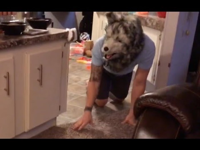 VIDEO Jesu li pretjerali? Muškarac stavio masku na glavu i plašio svoje pse, evo kako su reagirali!