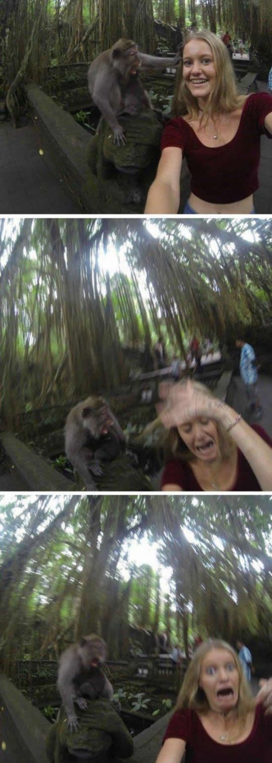 Ne pokušavaj selfie s majmunom