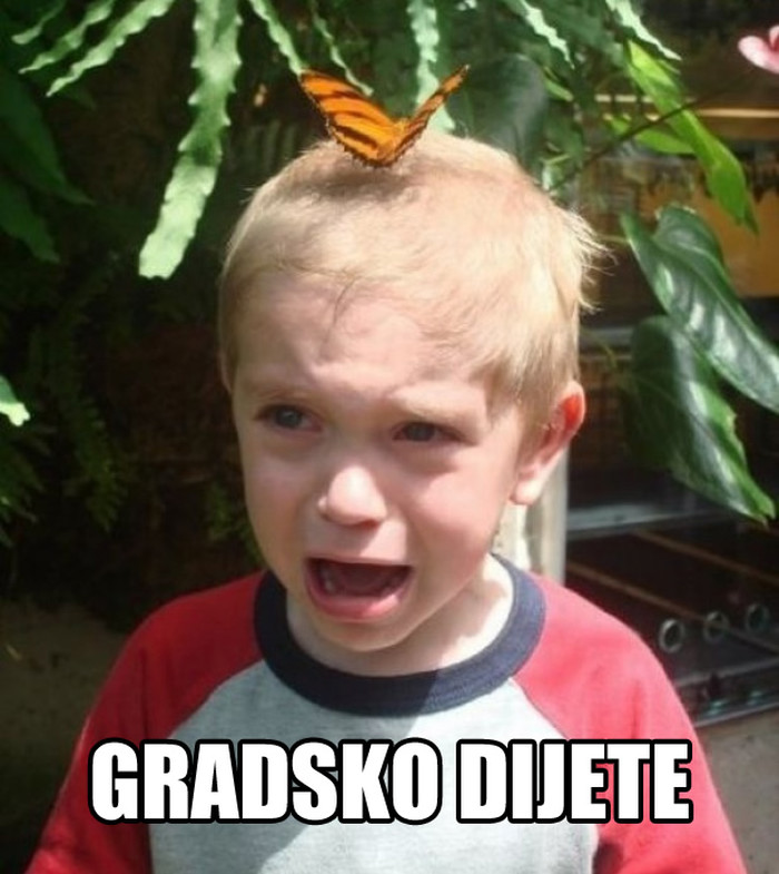 Strava u parku