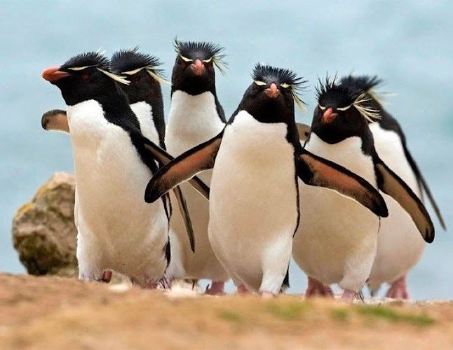 Snimanje covera boy banda iz devedesetih