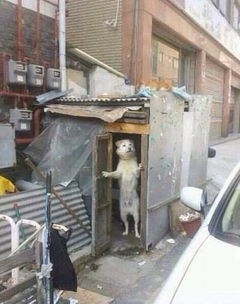 Alo, ekipa, tko to urla tamo? Nemojte da vam moram izaći!