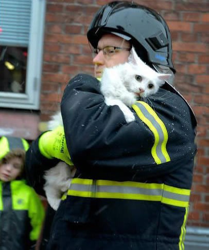 Vatrogasac tješi strašno uplašenu macu