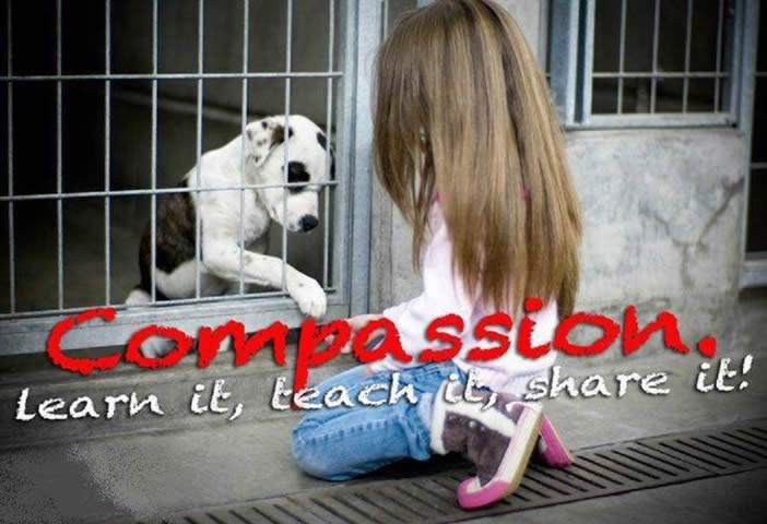 Prilika za bolju budućnost: Nauči djecu ljubavi prema svima