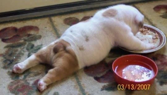 Nema ustajanja nakon ovako dobrog ručka