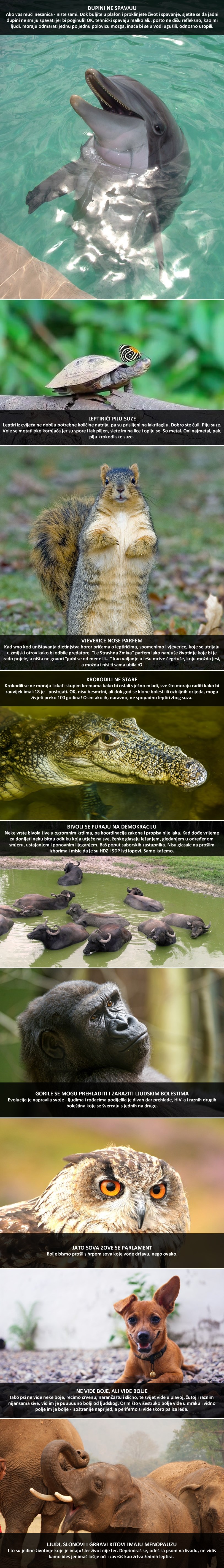 Neobične činjenice nakon kojih ćete na ove životinje gledati drugi očima