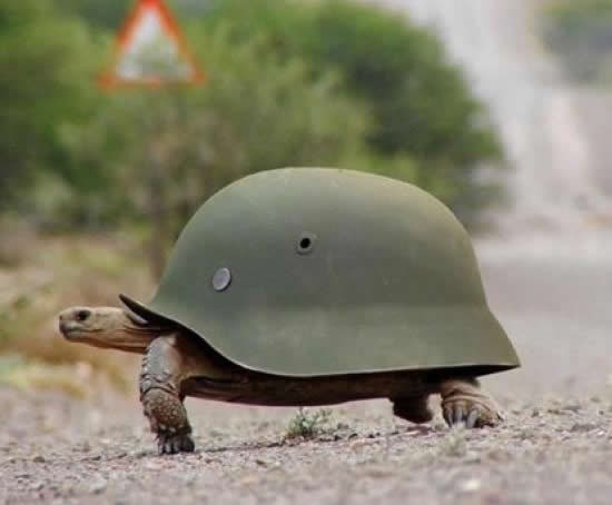 Korni Kornjača - Rambo izdanje