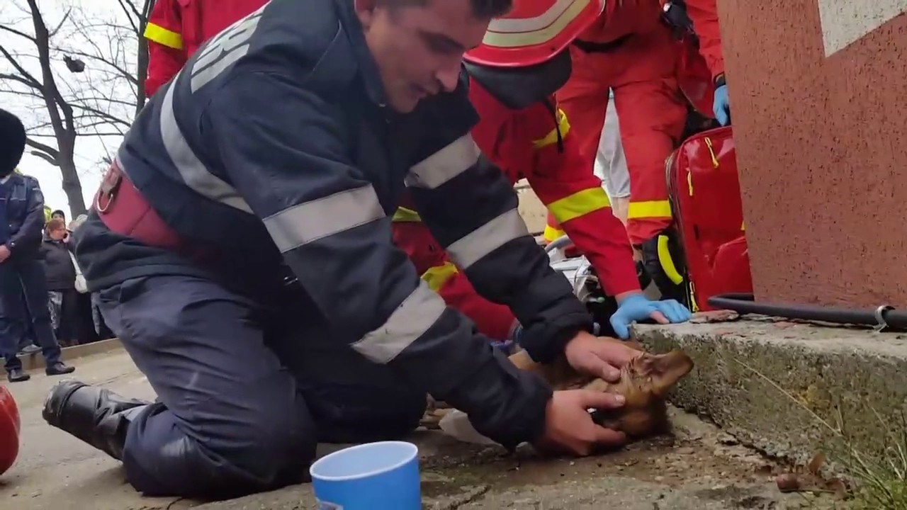 SRCEPARAJUĆI VIDEO Vatrogasac pokušava spasiti život psu koji je stradao u požaru