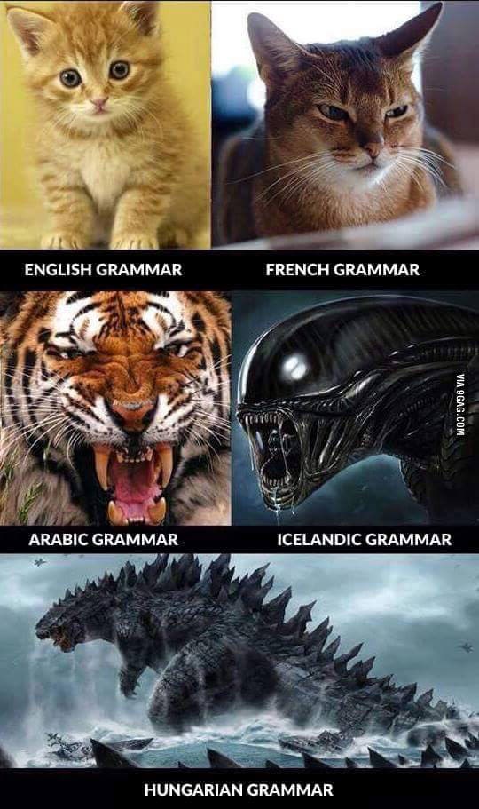 Što je onda hrvatski?