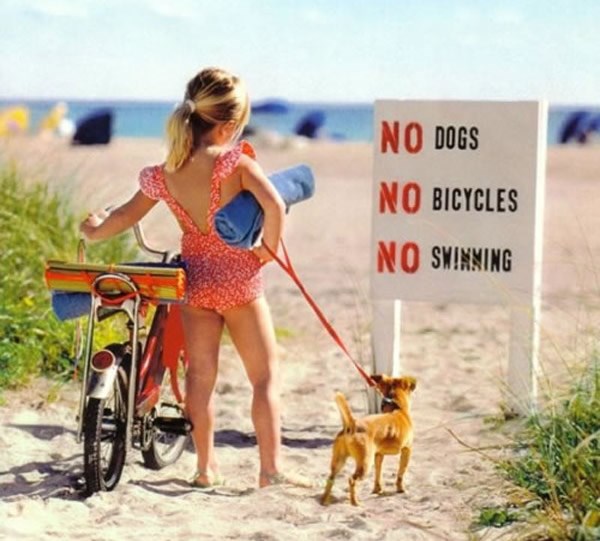 Kad u Hrvatskoj imaš dobru ideju za posao