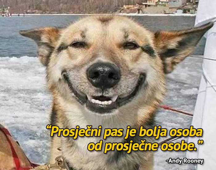 Prava istina o ljudima?