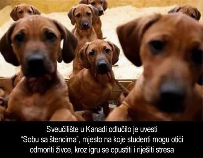 Kanada opet pogađa usridu