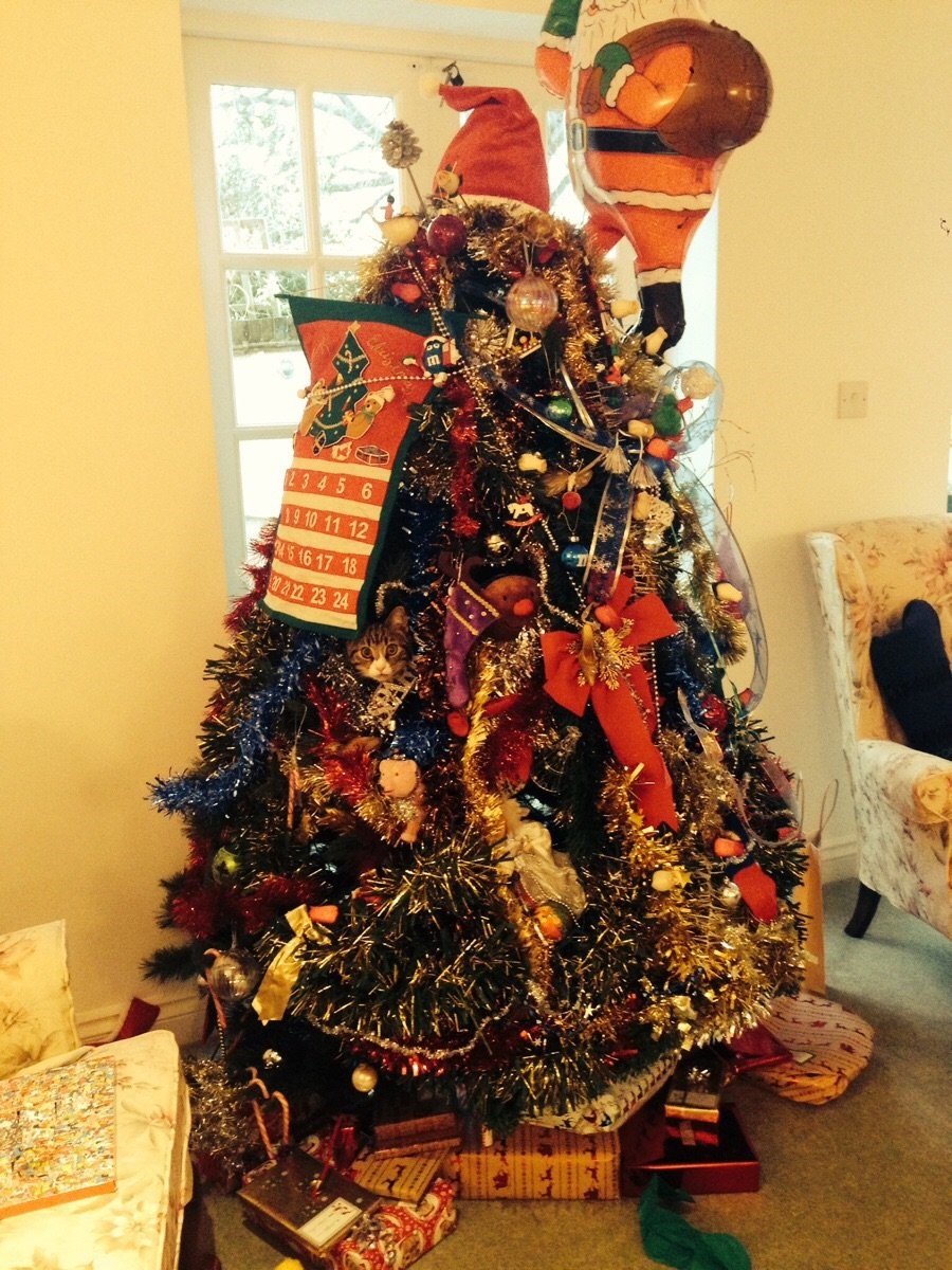 Dosad nitko na svijetu nije u 5 sekundi otkrio što je čudno s ovom božićnom jelkom