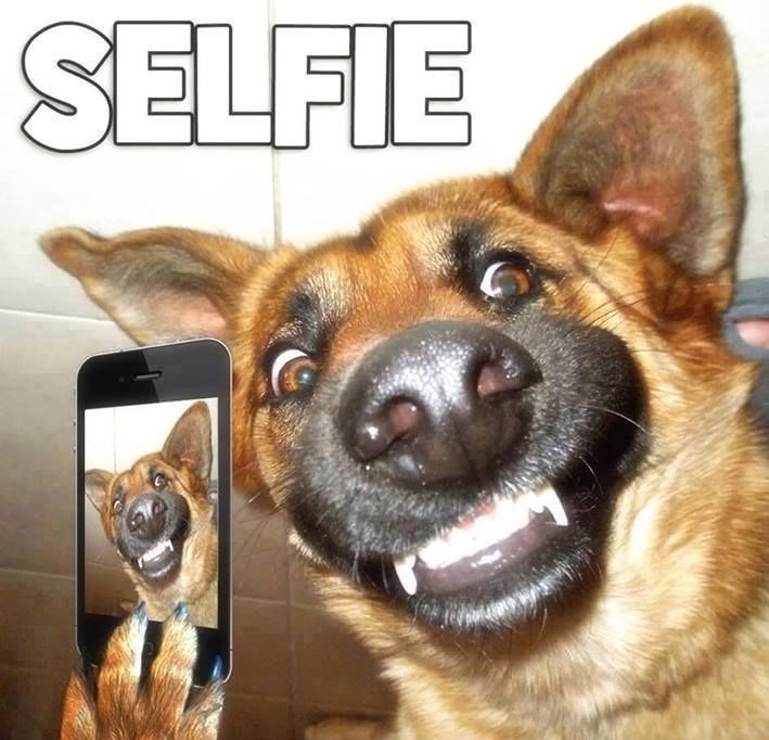 I on se navukao na selfije