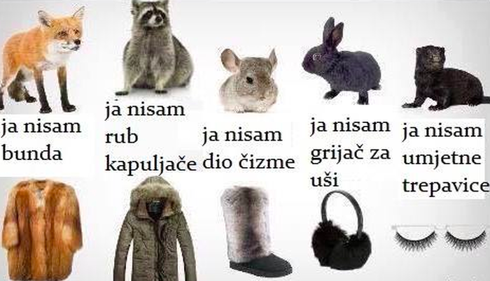 STOP NASILJU PREMA ŽIVOTINJAMA