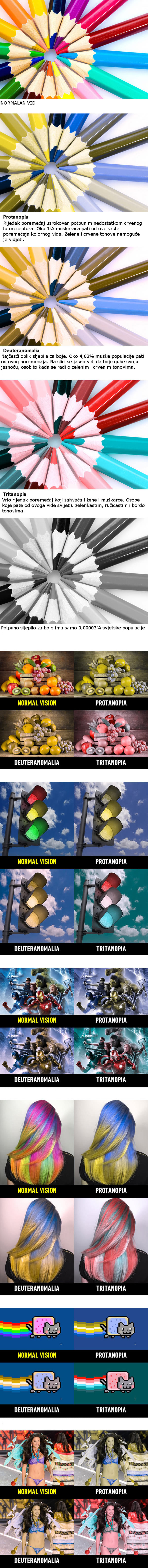 Ovako svijet vide osobe koje pate od poremećaja kolornog vida
