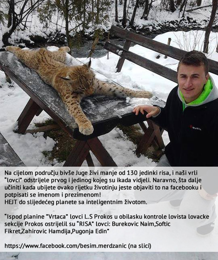 Krvoločni "lovački" moroni iz pohlepe ubili rijetkog risa