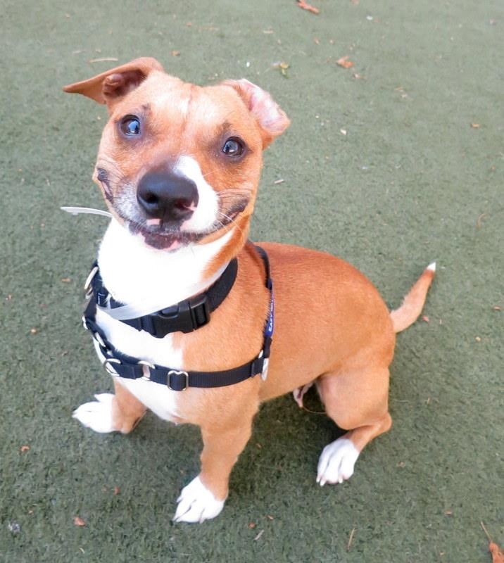 Ako je ikada pogled govorio "Spreman za igru!"