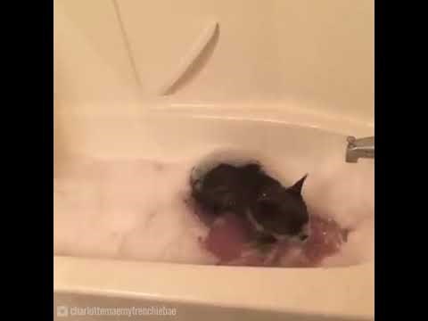 VIDEO Najbrži način da budete mokri do kože