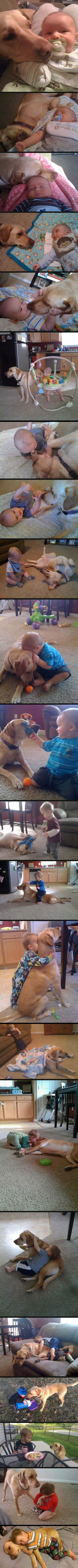 Ljubav za pamćenje: Dobri pas ga čuva od prvog dana života