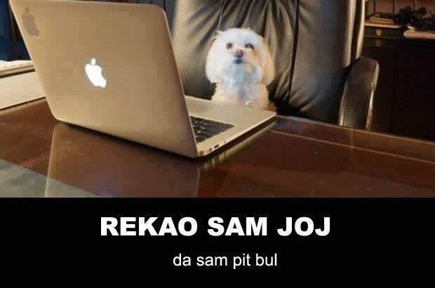 Svaki tip na chatu - ikad