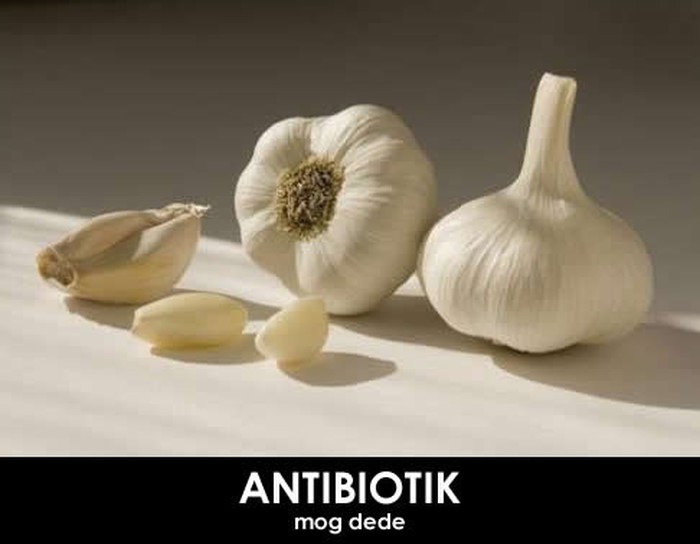 Nekad te lijekovi nisu ubijali