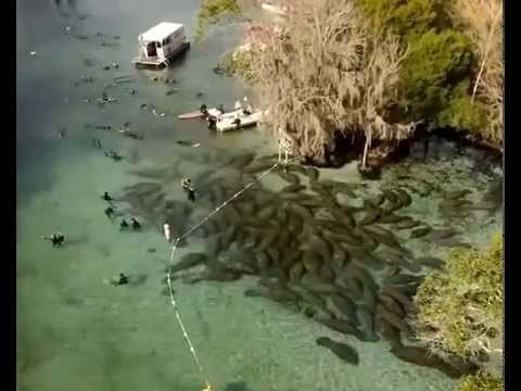 VIDEO: Jesmo li doista toliko glupi?