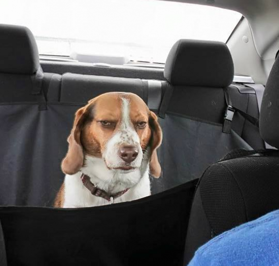 Prisjelo mu sve, želi jednostavno odseliti na Havaje i kopati rupe u pijesku