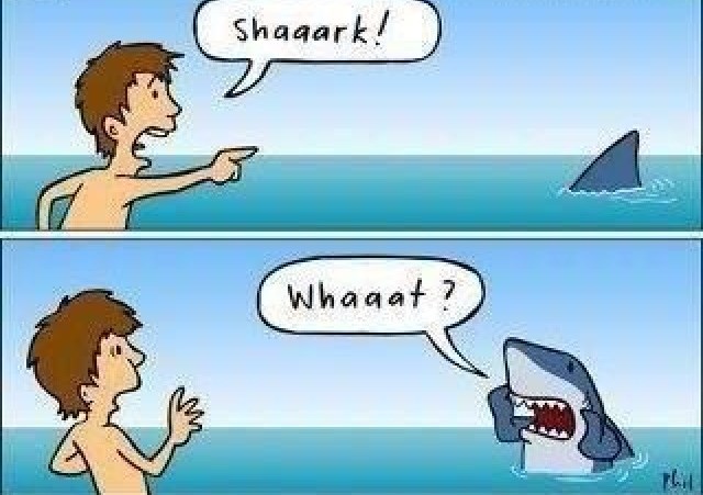 I morski psi se boje nas, koliko i mi njih